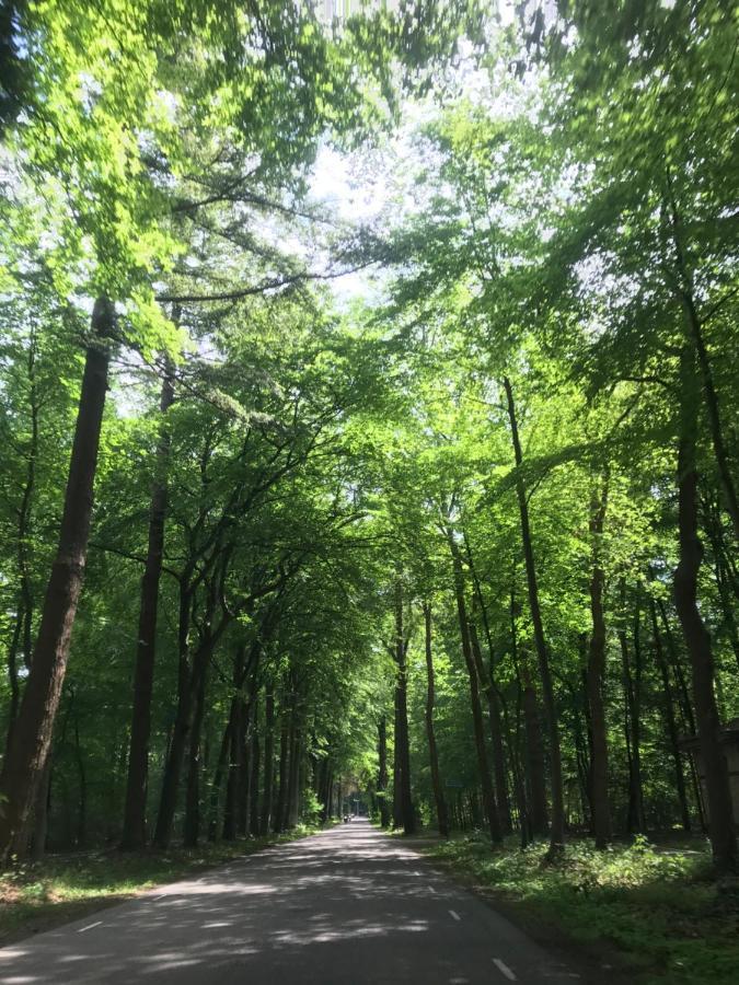 Uniek Chalet Op De Veluwe, In Bosrijke Omgeving. Putten Εξωτερικό φωτογραφία